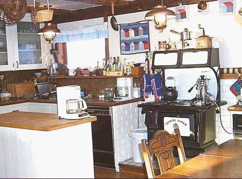 A photograph of a kitchen, with not a monkey in sight