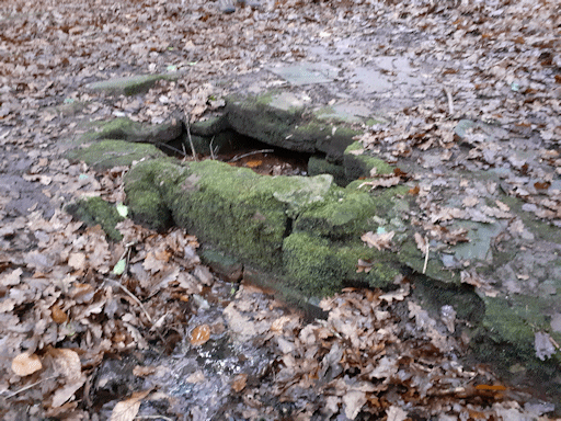 a medieval stone basin unearthed in a wood