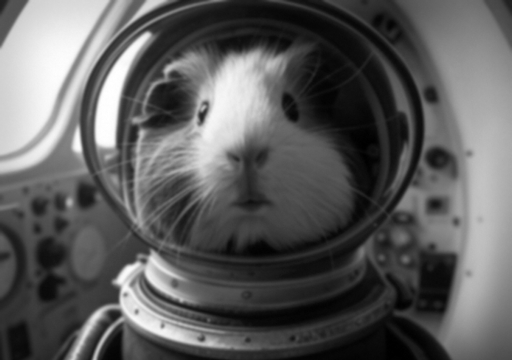 A black and white photograph of a guinea pig strapped into the nose cone of a rocket